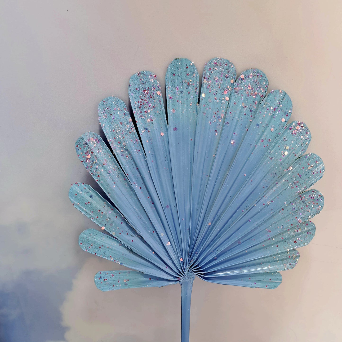 Ocean Shell Spear Palm