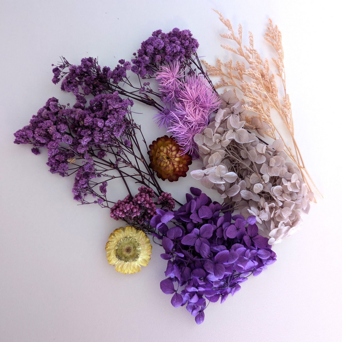 Purple Pick - Bunch of Blooms