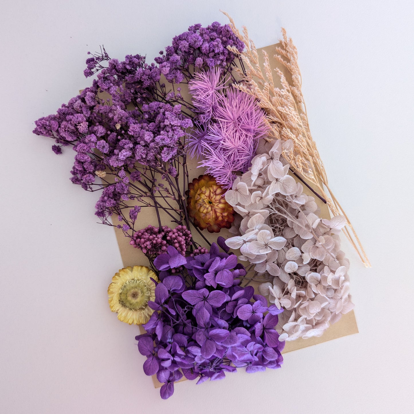 Purple Pick - Bunch of Blooms