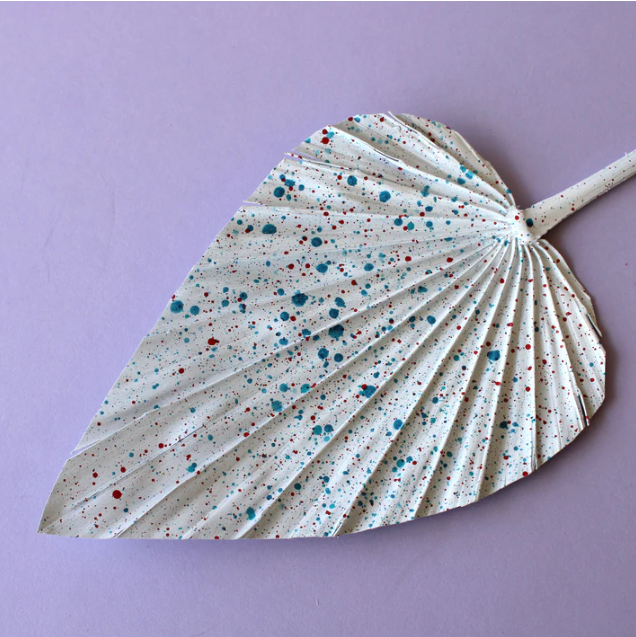 Ferris Wheel Spear Palm