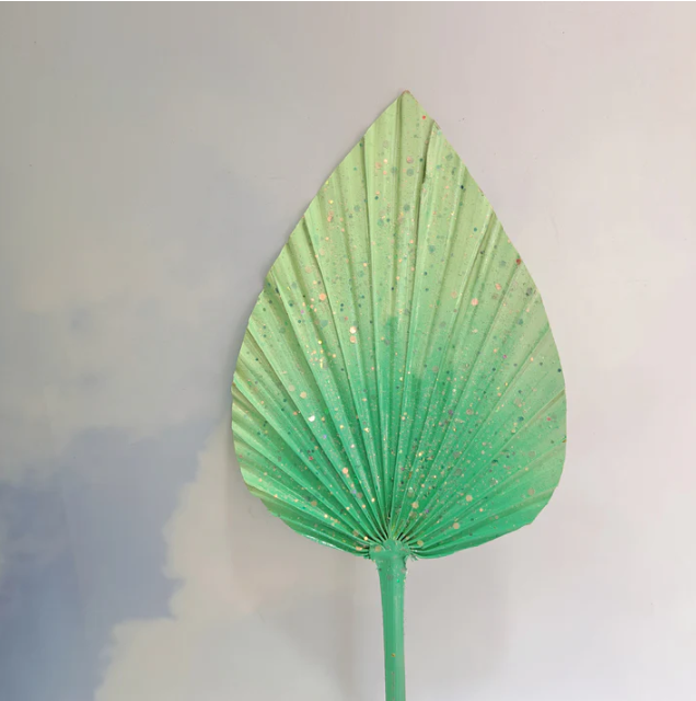 Toffee Apple Spear Palm