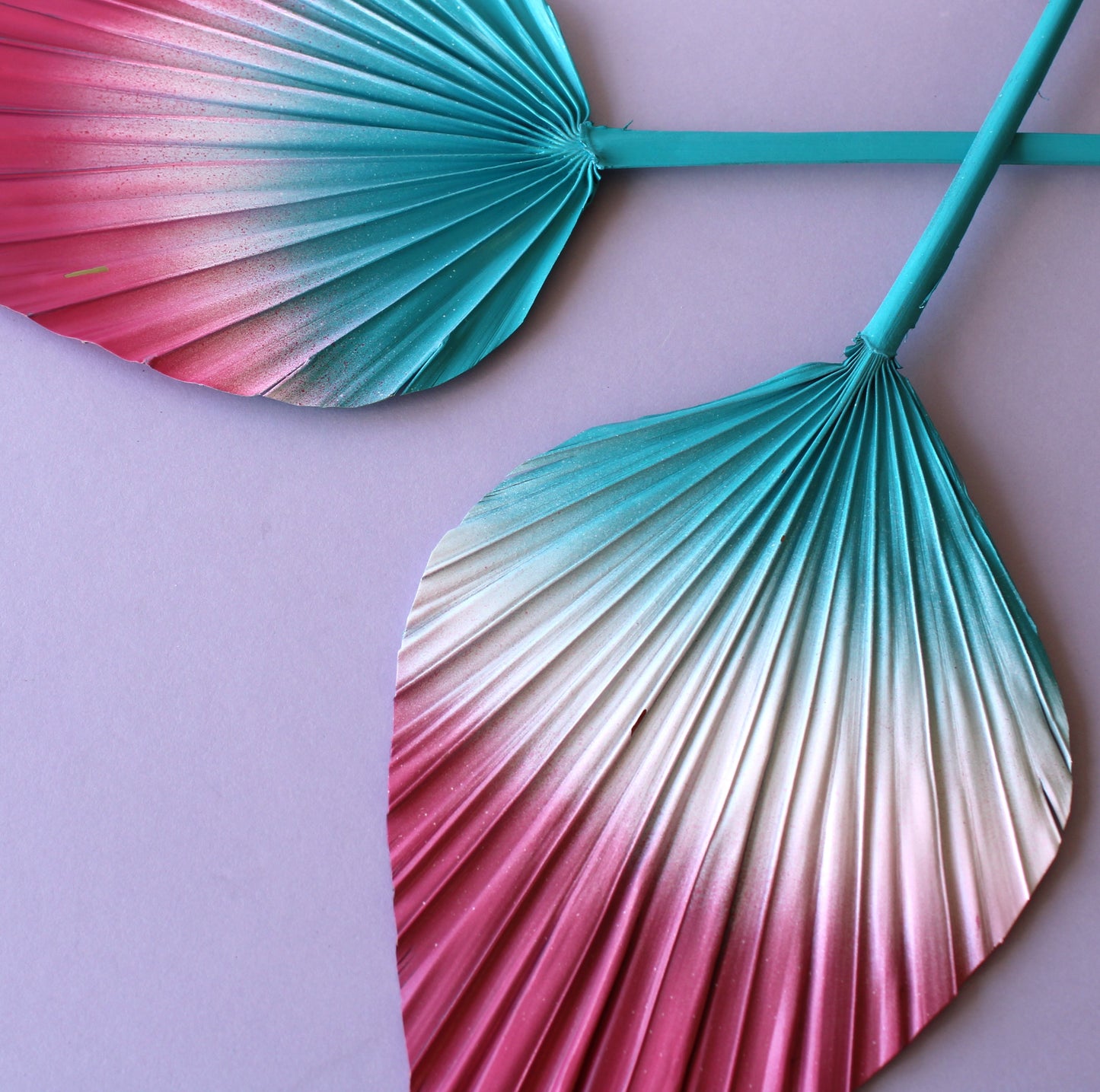 Spear Palm (Pick Colour)