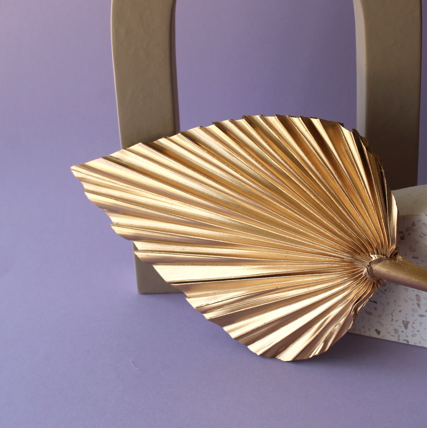 Spear Palm (Pick Colour)
