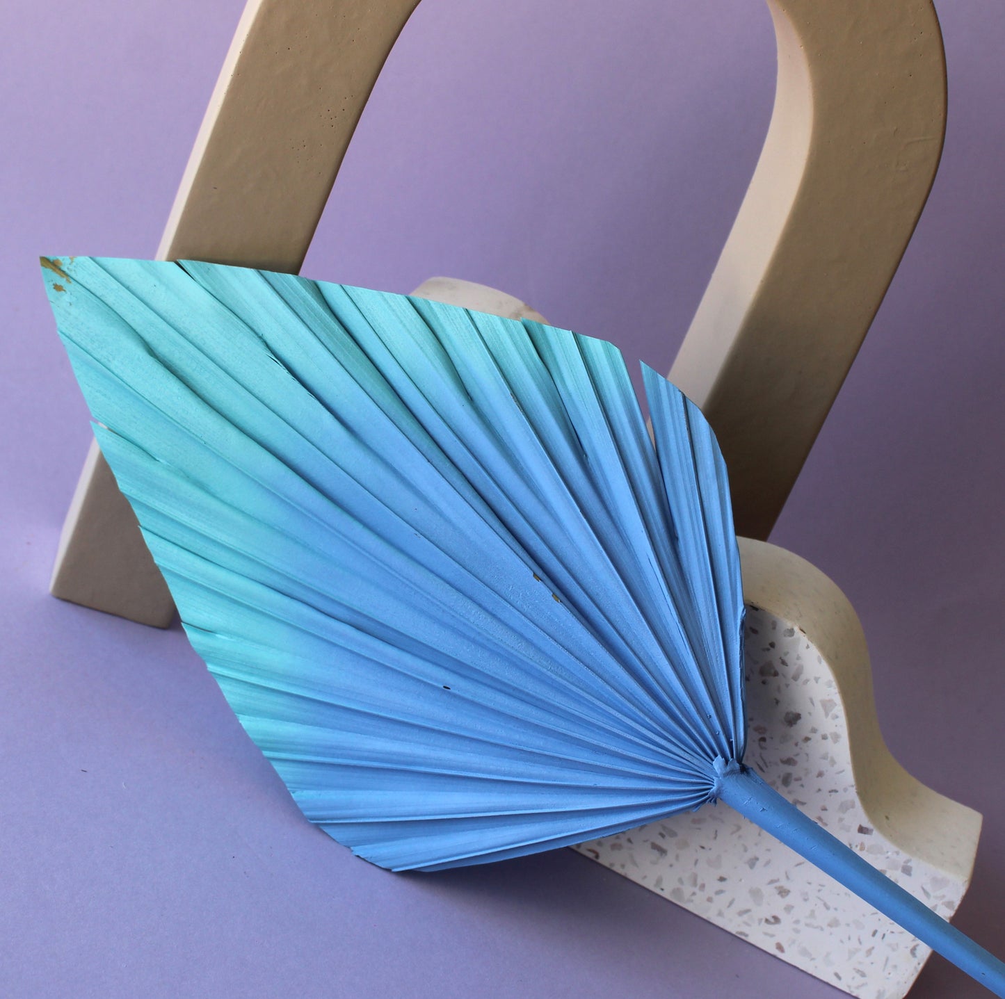 Spear Palm (Pick Colour)