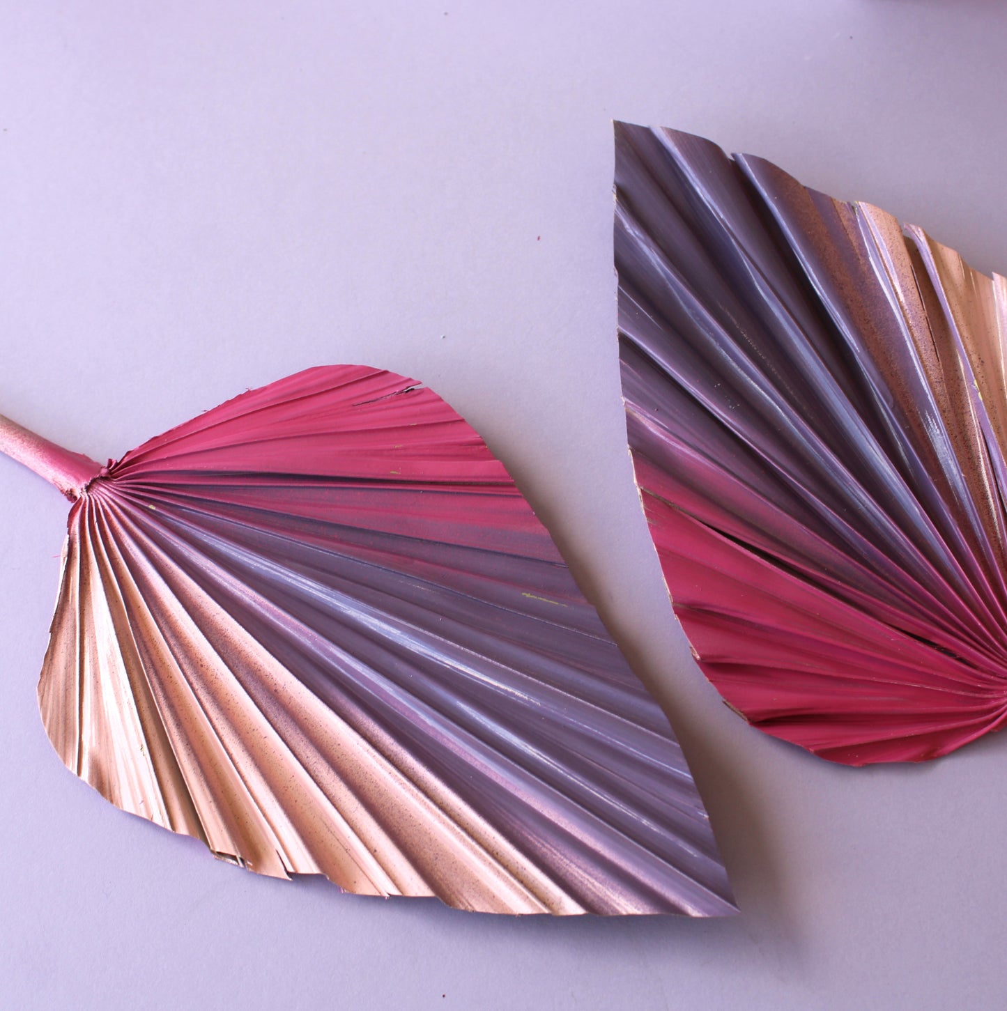 Spear Palm (Pick Colour)