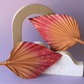 Ombre Sunset Spear Palm