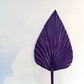 Royal Spear Palm