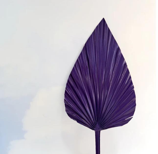 Royal Spear Palm