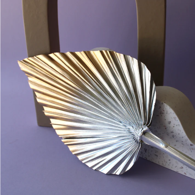 Silver-Gold Spear Palm