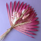 Sun Palm Bouquet (Pick Colour)