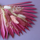 Sun Palm Bouquet (Pick Colour)